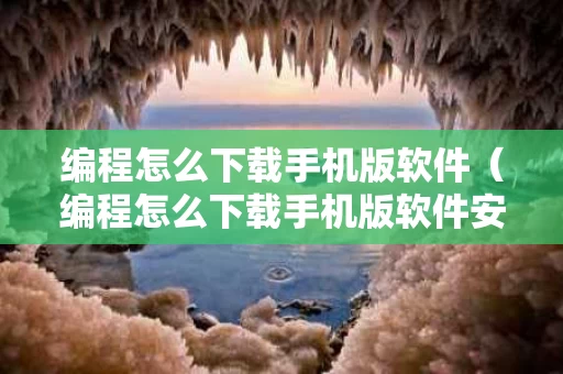 编程怎么下载手机版软件（编程怎么下载手机版软件安装）