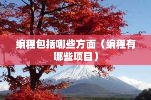 编程包括哪些方面（编程有哪些项目）