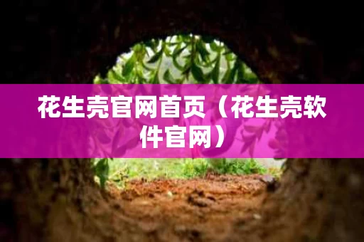 花生壳官网首页（花生壳软件官网）