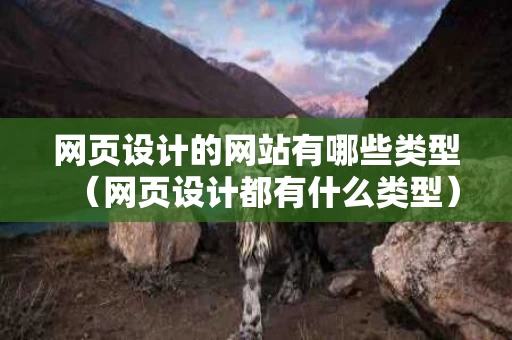 网页设计的网站有哪些类型（网页设计都有什么类型）