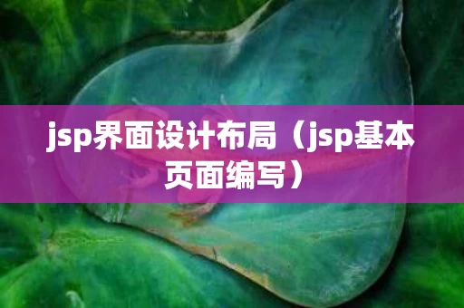 jsp界面设计布局（jsp基本页面编写）