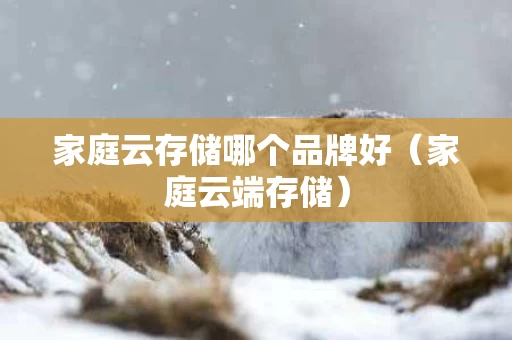 家庭云存储哪个品牌好（家庭云端存储）