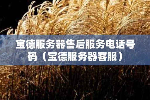 宝德服务器售后服务电话号码（宝德服务器客服）