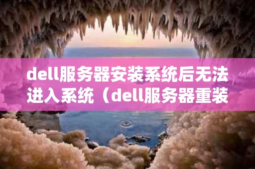 dell服务器安装系统后无法进入系统（dell服务器重装系统怎么进入u盘启动）