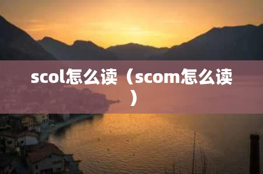 scol怎么读（scom怎么读）