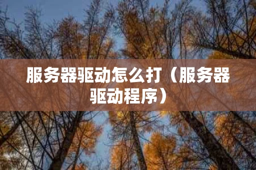 服务器驱动怎么打（服务器驱动程序）