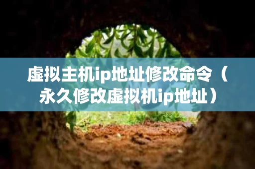 虚拟主机ip地址修改命令（永久修改虚拟机ip地址）