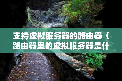 支持虚拟服务器的路由器（路由器里的虚拟服务器是什么意思）