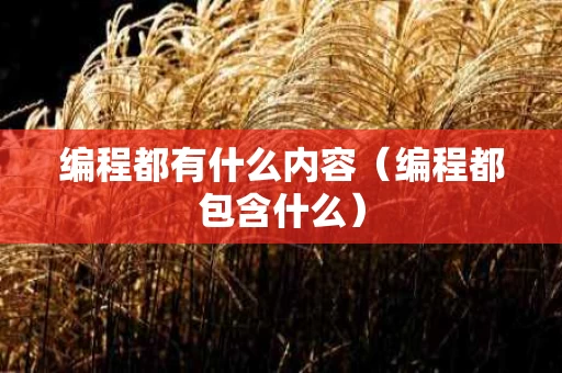 编程都有什么内容（编程都包含什么）