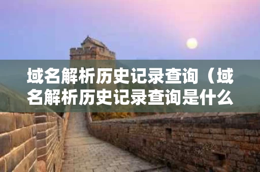 域名解析历史记录查询（域名解析历史记录查询是什么意思）