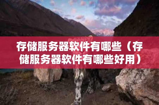 存储服务器软件有哪些（存储服务器软件有哪些好用）