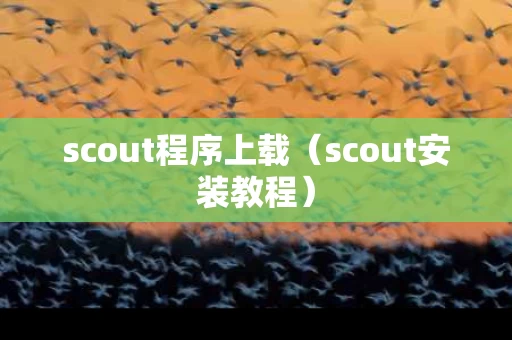 scout程序上载（scout安装教程）