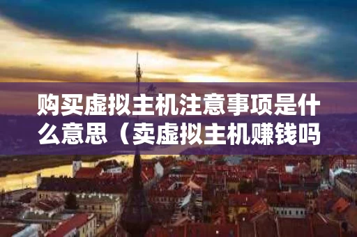 购买虚拟主机注意事项是什么意思（卖虚拟主机赚钱吗）
