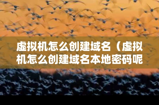 虚拟机怎么创建域名（虚拟机怎么创建域名本地密码呢）