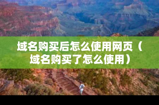 域名购买后怎么使用网页（域名购买了怎么使用）