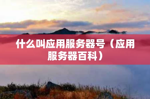 什么叫应用服务器号（应用服务器百科）