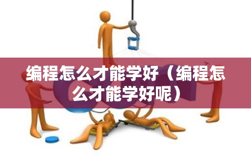 编程怎么才能学好（编程怎么才能学好呢）