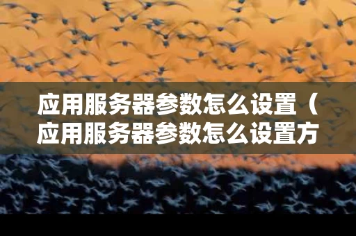 应用服务器参数怎么设置（应用服务器参数怎么设置方法）