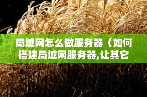 局域网怎么做服务器（如何搭建局域网服务器,让其它电脑访问）