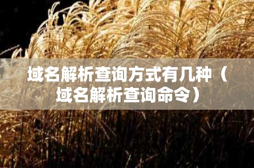 域名解析查询方式有几种（域名解析查询命令）