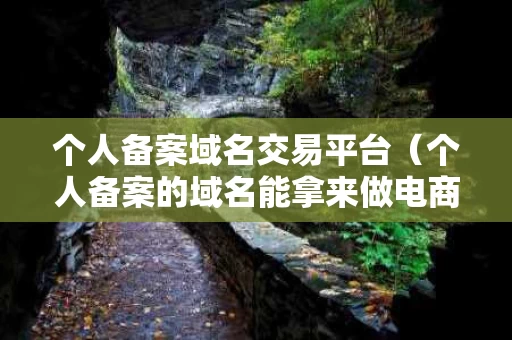 个人备案域名交易平台（个人备案的域名能拿来做电商平台吗）