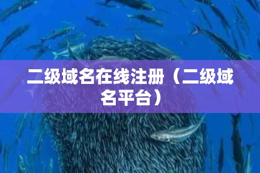 二级域名在线注册（二级域名平台）