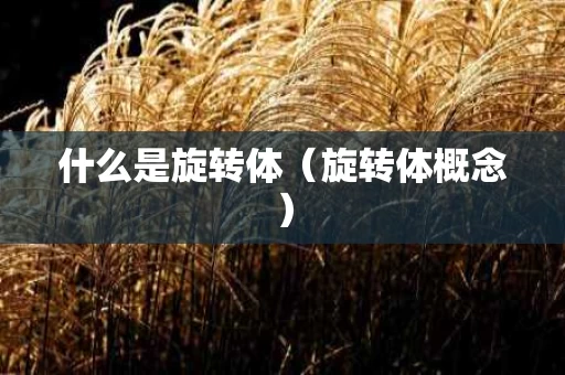 什么是旋转体（旋转体概念）