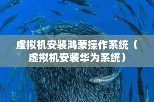 虚拟机安装鸿蒙操作系统（虚拟机安装华为系统）