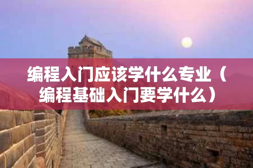 编程入门应该学什么专业（编程基础入门要学什么）