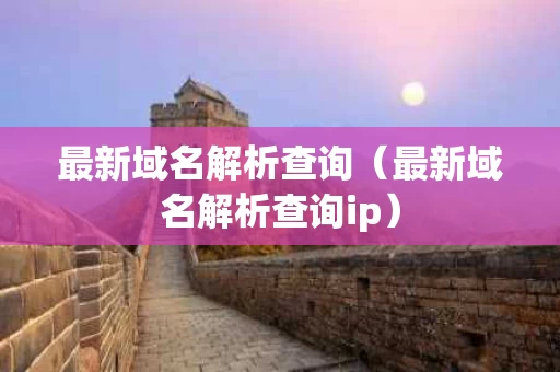 最新域名解析查询（最新域名解析查询ip）