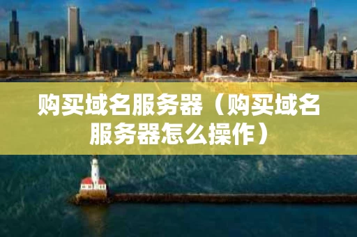 购买域名服务器（购买域名服务器怎么操作）