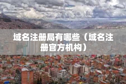 域名注册局有哪些（域名注册官方机构）