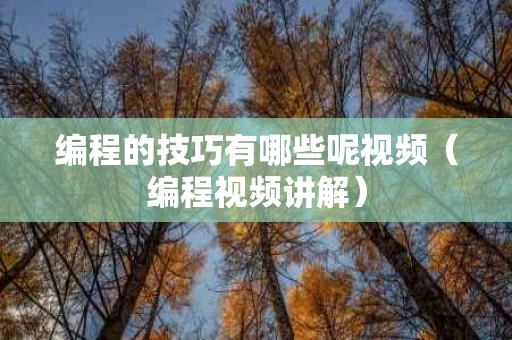 编程的技巧有哪些呢视频（编程视频讲解）