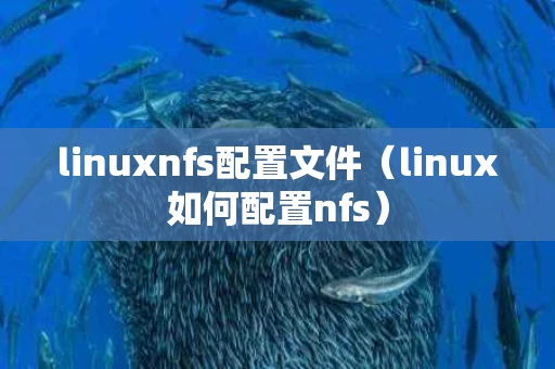 linuxnfs配置文件（linux如何配置nfs）