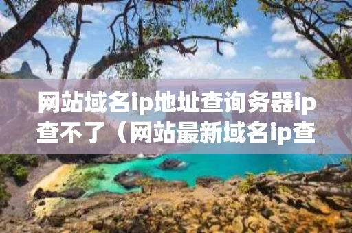 网站域名ip地址查询务器ip查不了（网站最新域名ip查询接口）