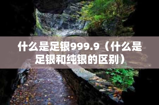什么是足银999.9（什么是足银和纯银的区别）