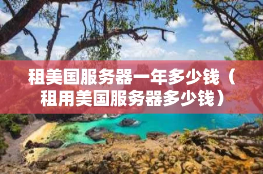 租美国服务器一年多少钱（租用美国服务器多少钱）