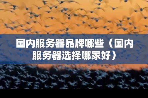 国内服务器品牌哪些（国内服务器选择哪家好）