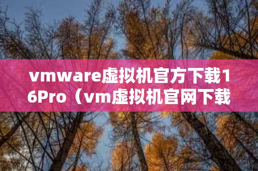 vmware虚拟机官方下载16Pro（vm虚拟机官网下载）