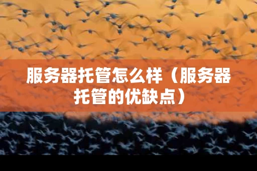 服务器托管怎么样（服务器托管的优缺点）