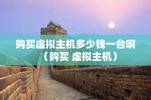 购买虚拟主机多少钱一台啊（购买 虚拟主机）