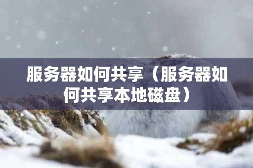 服务器如何共享（服务器如何共享本地磁盘）