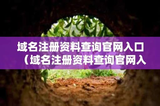 域名注册资料查询官网入口（域名注册资料查询官网入口下载）