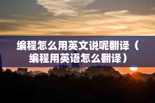 编程怎么用英文说呢翻译（编程用英语怎么翻译）