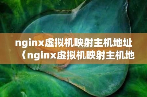 nginx虚拟机映射主机地址（nginx虚拟机映射主机地址怎么改）