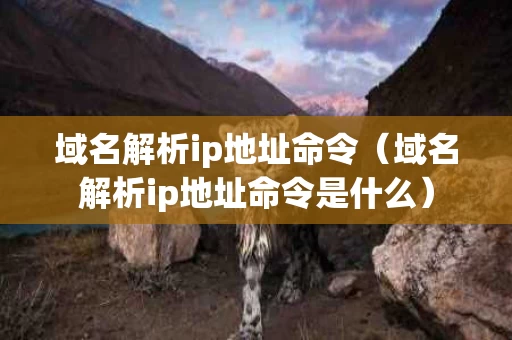 域名解析ip地址命令（域名解析ip地址命令是什么）