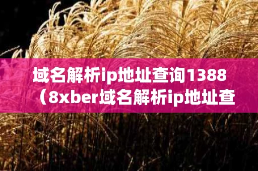 域名解析ip地址查询1388（8xber域名解析ip地址查询）