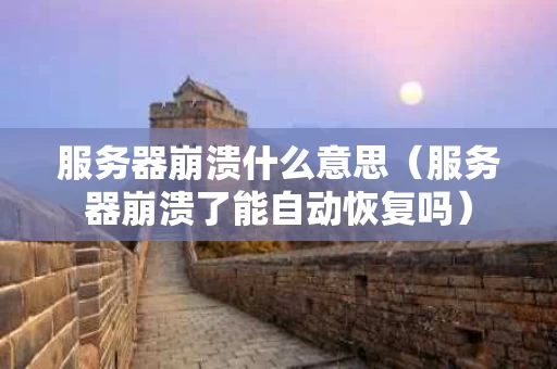 服务器崩溃什么意思（服务器崩溃了能自动恢复吗）