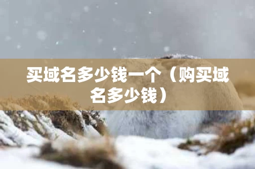 买域名多少钱一个（购买域名多少钱）