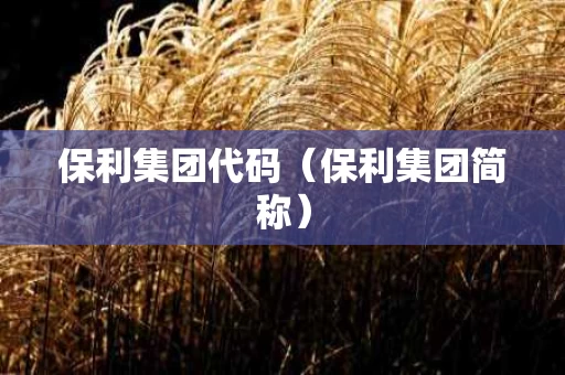 保利集团代码（保利集团简称）
